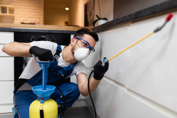 Best Commercial Pest Control Services  in Salida, CO