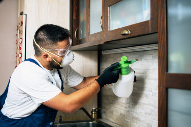 Best Bed Bug Extermination  in Salida, CO
