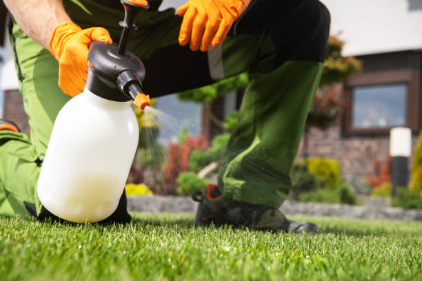 Best Pest Control for Businesses  in Salida, CO