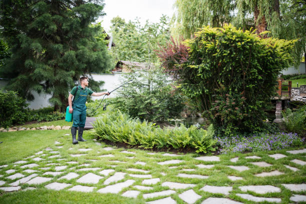 Best Pest Control for Restaurants  in Salida, CO