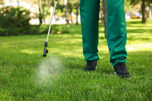 Best Commercial Pest Control Services  in Salida, CO