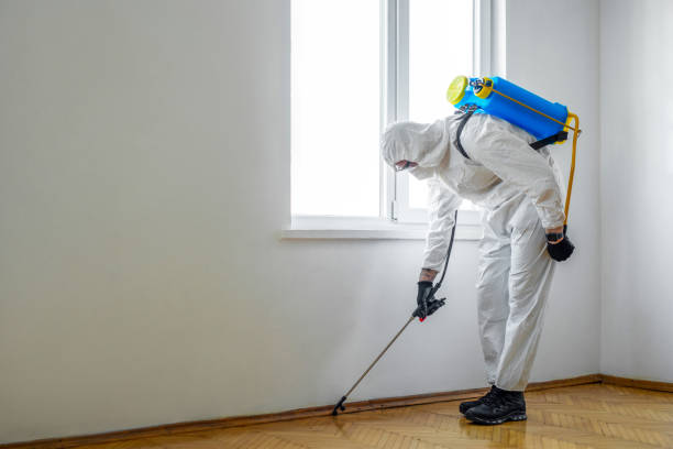 Professional Pest Control in Salida, CO