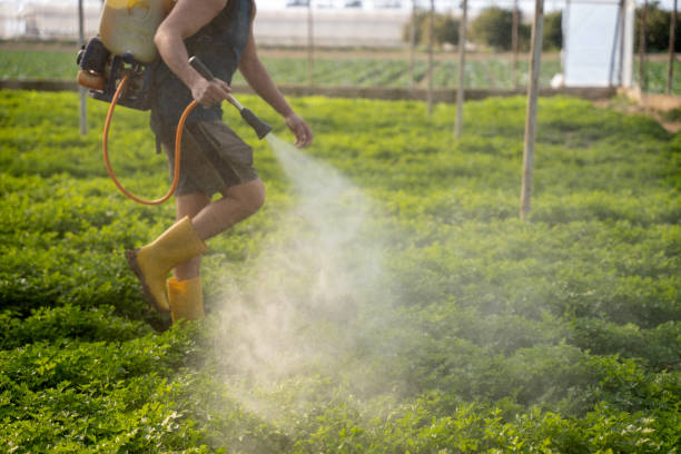 Best Emergency Pest Control  in Salida, CO