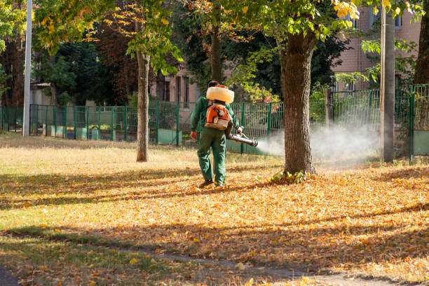 Best Termite Control Services  in Salida, CO