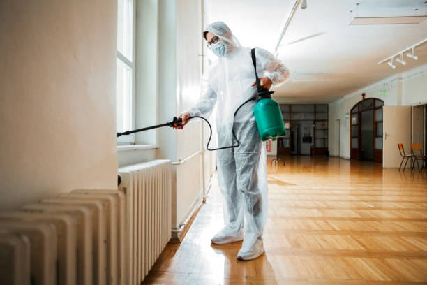 Best Pest Removal Services  in Salida, CO