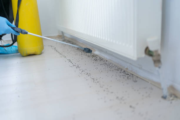 Best Mosquito Control Services  in Salida, CO