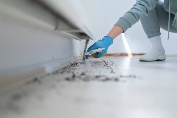 Best Pest Control Near Me  in Salida, CO