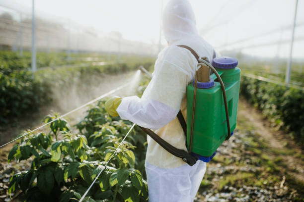 Best Pest Prevention Services  in Salida, CO